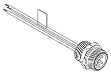 43025258