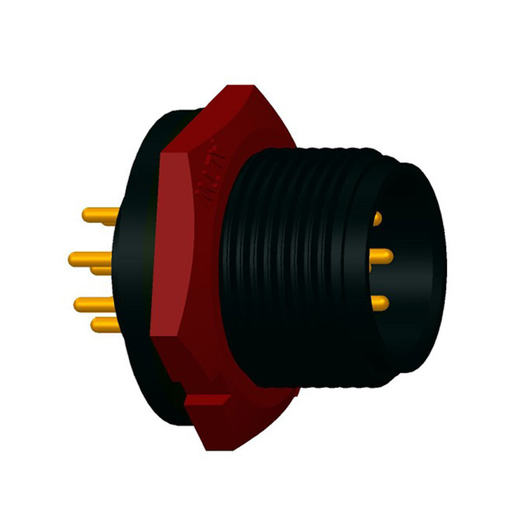 49646241