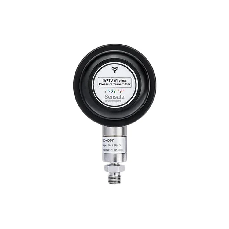 49869628