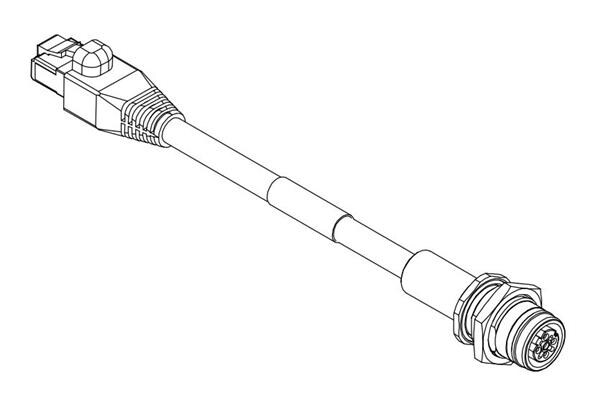 50022919