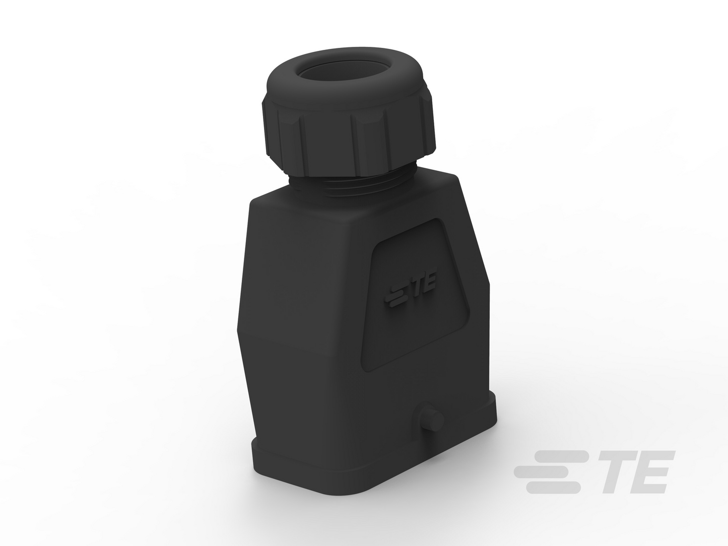 50391440