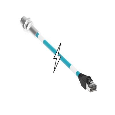 50538428