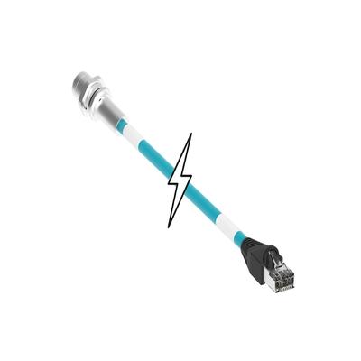 50538429