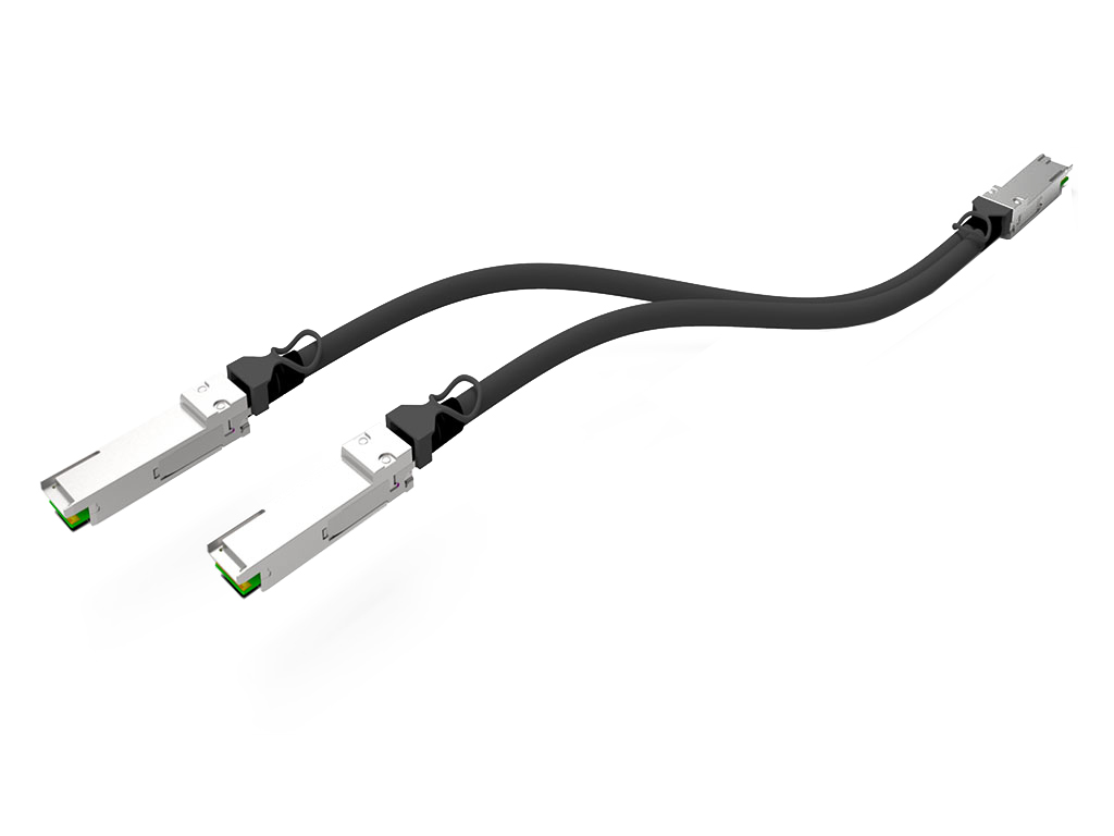 53485551