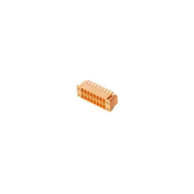 54300041