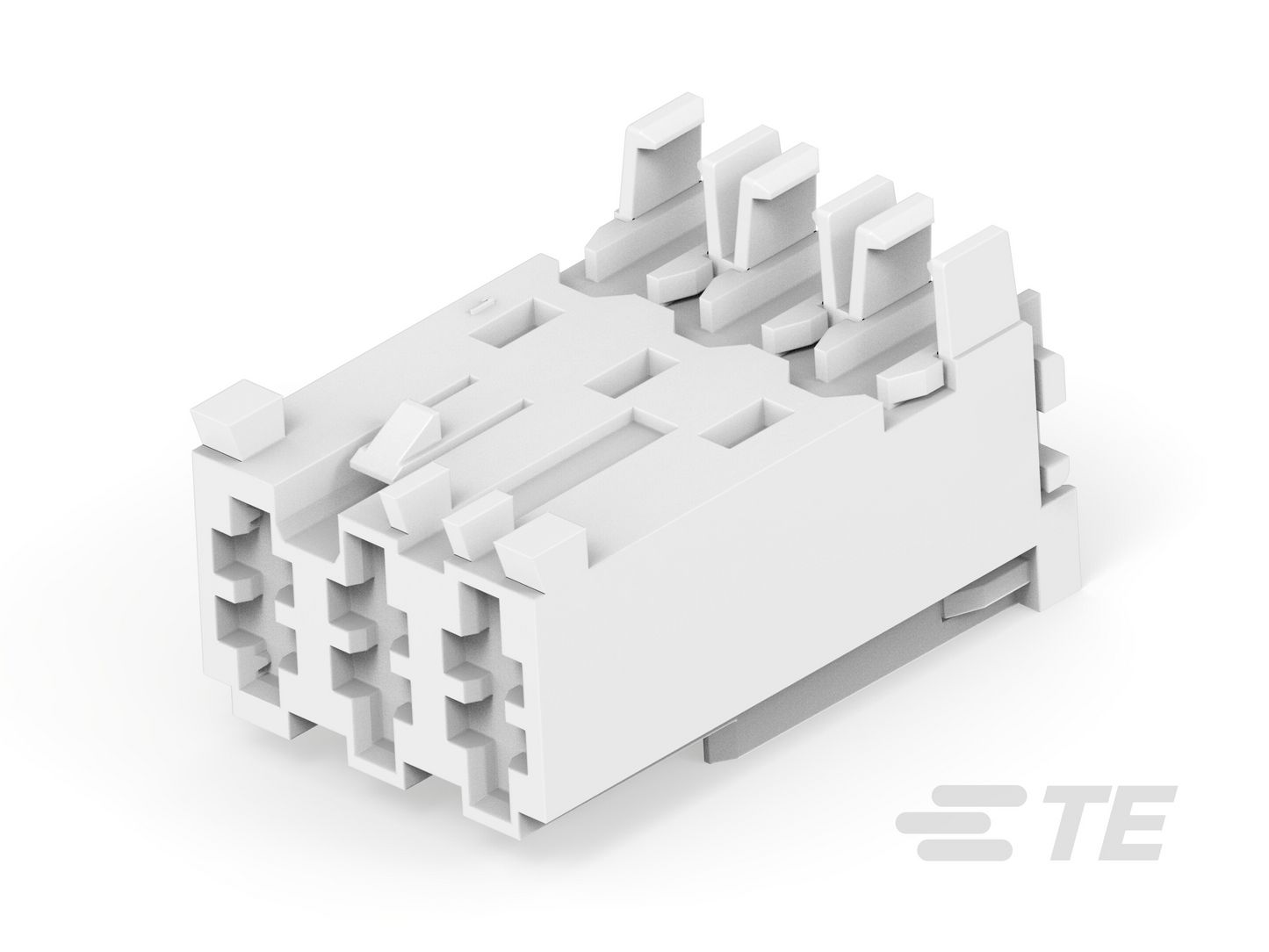 55609502