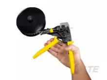 56848301