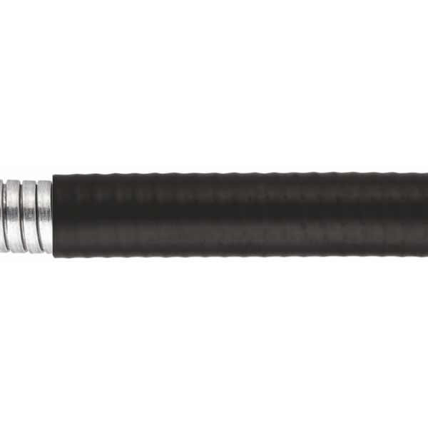LTP12B-50M.jpg
