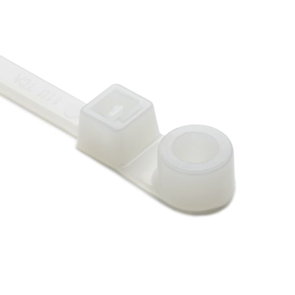 T50ML9C2.jpg