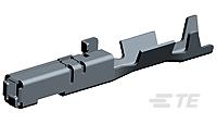 pr1674936.jpg