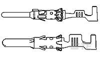 prm110_02pina.jpg