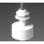 21804209