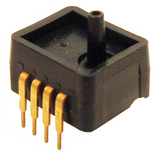 25257029
