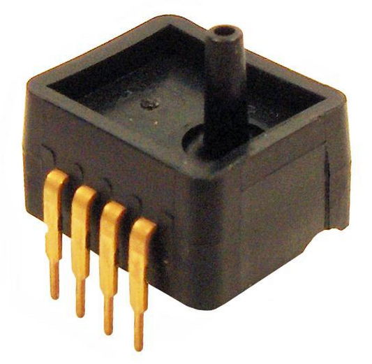 25257029