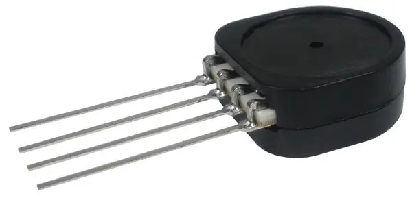 25257395
