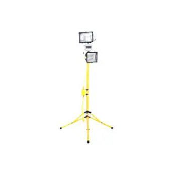 43033010