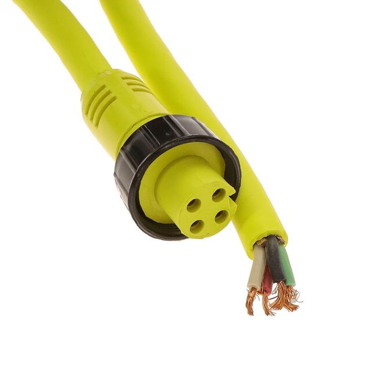 43040551