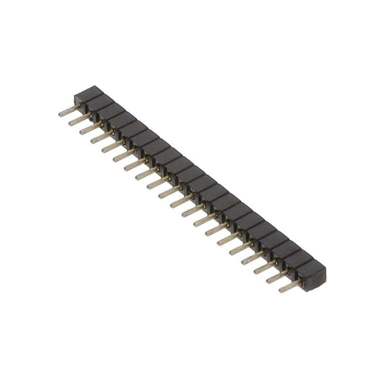 45405219