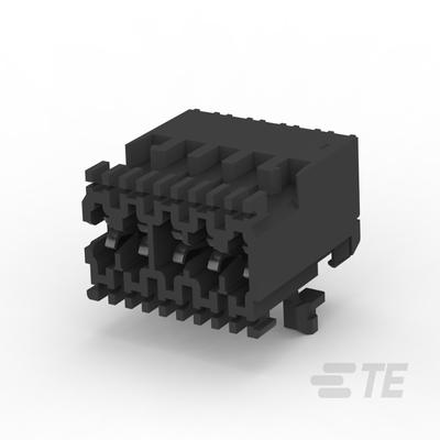 45596427