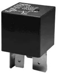 49384929