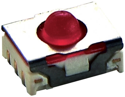 49481009