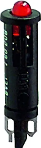 49483139