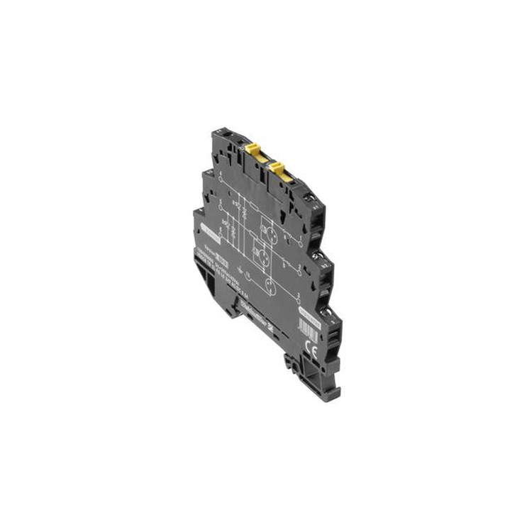 49488358