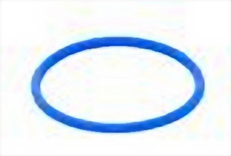 49534178