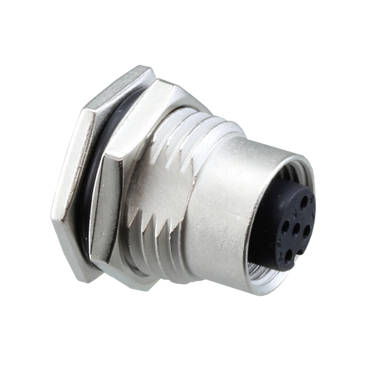 49646279