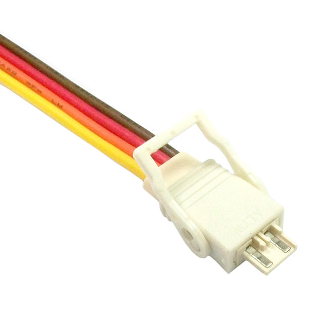 49651005