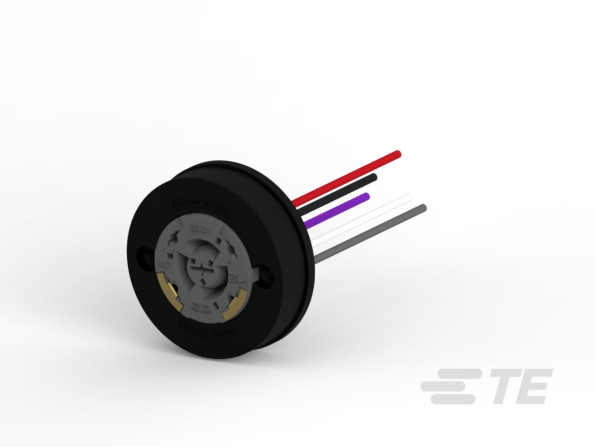 49869175
