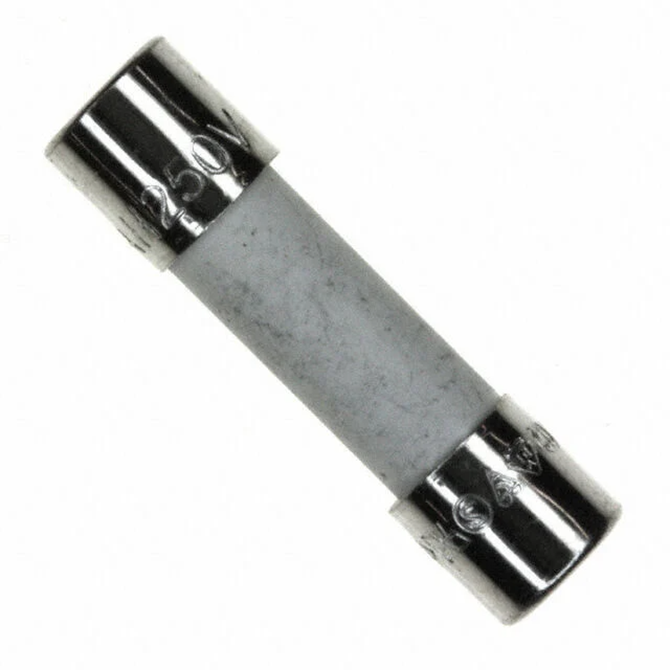 49904002
