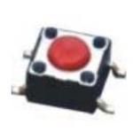50026986