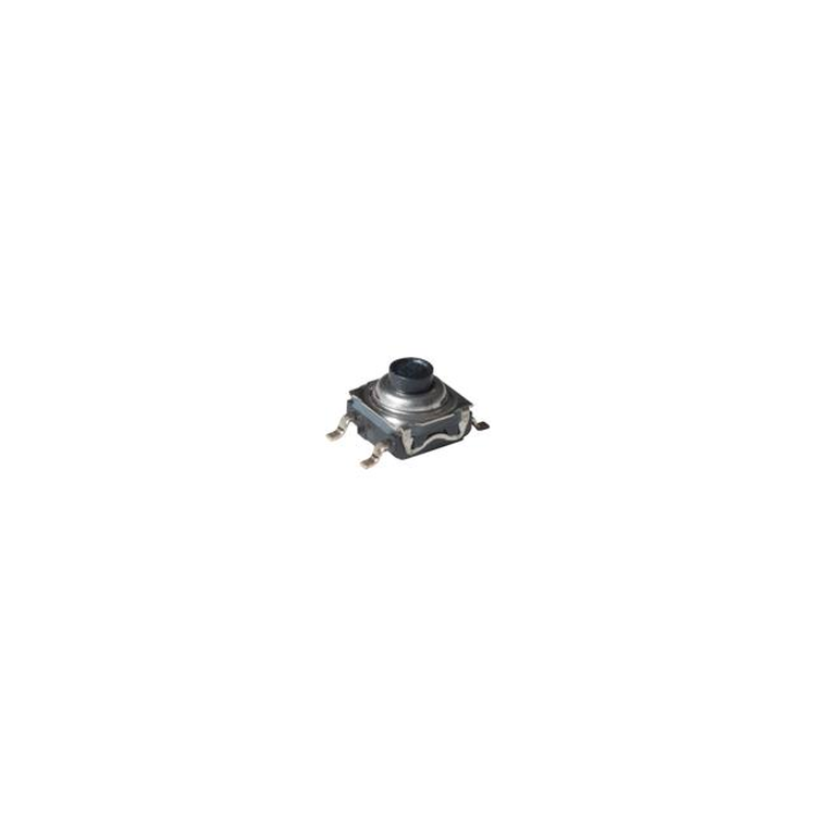 50204387