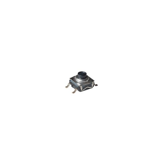 50204387