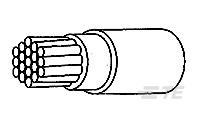 50287551
