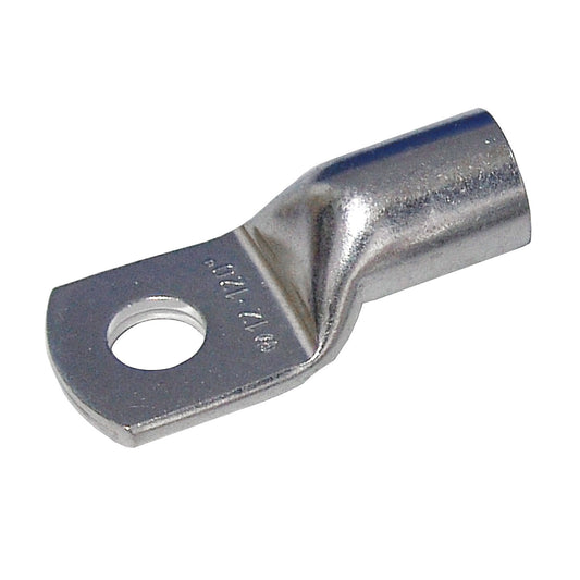 50292405
