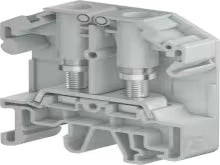 50466009