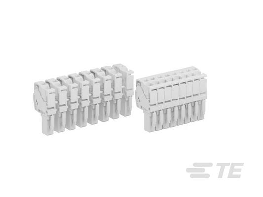 50467806