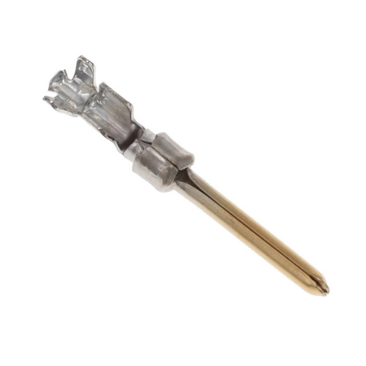 50478856