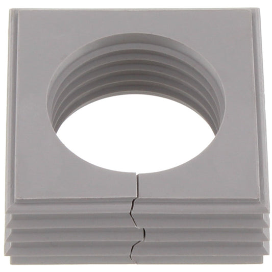 50553979