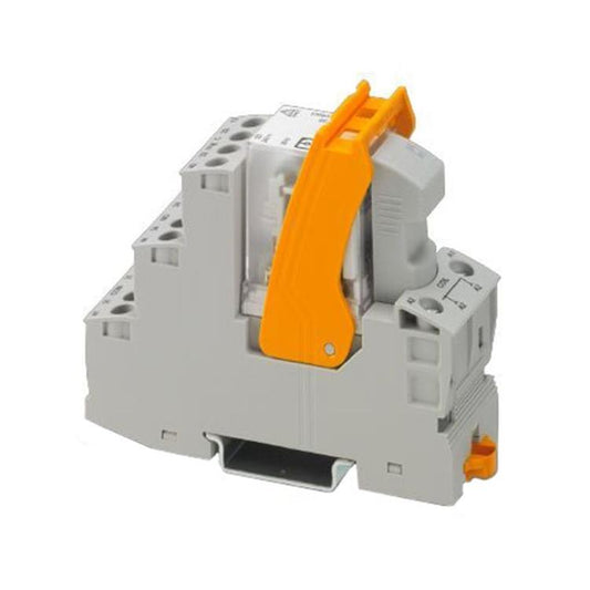 50556493