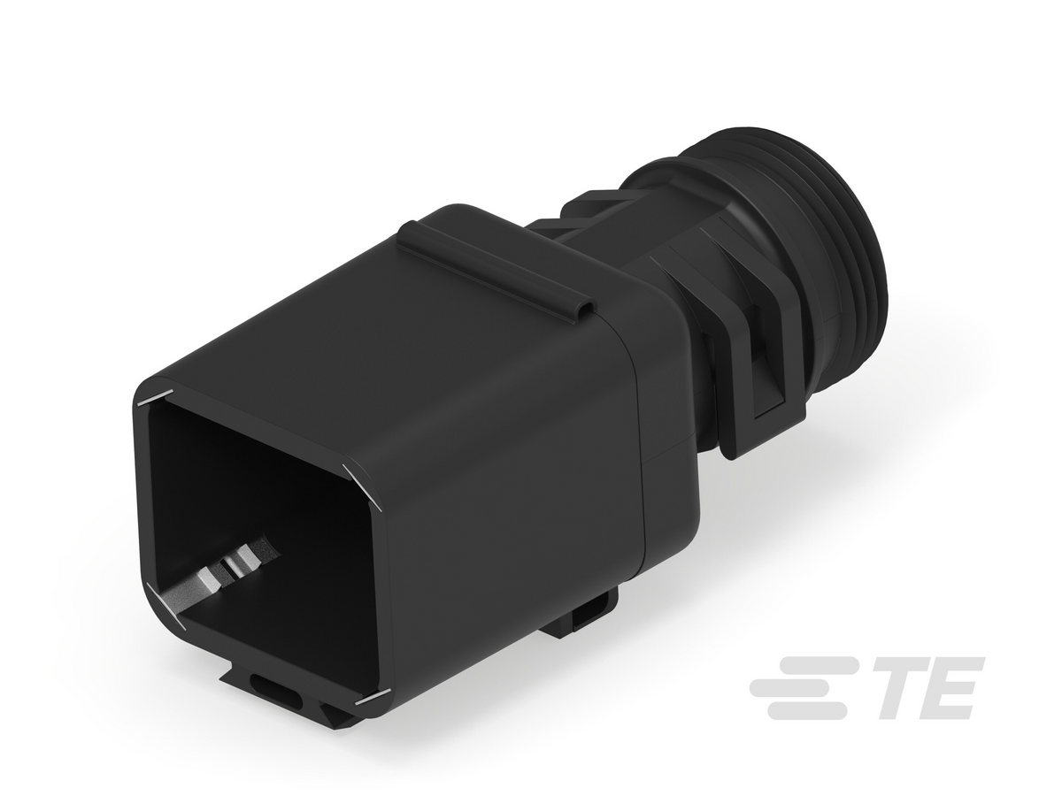 50874895