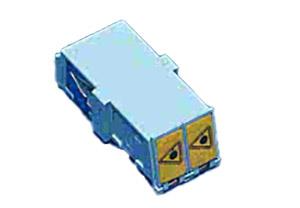 50876393