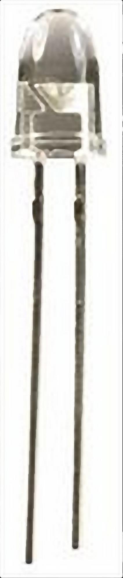 51290854