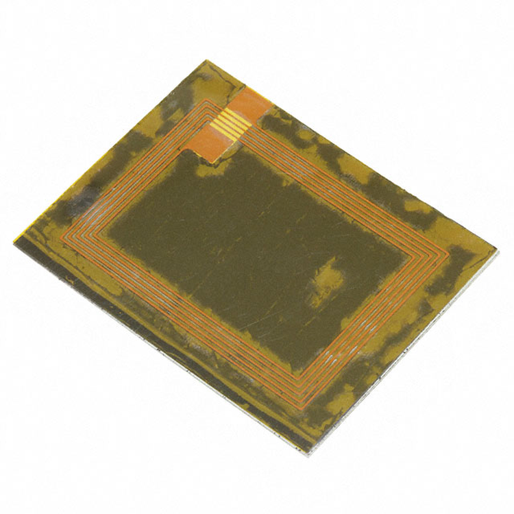 52401532