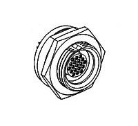 54300808