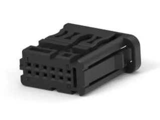 54345059