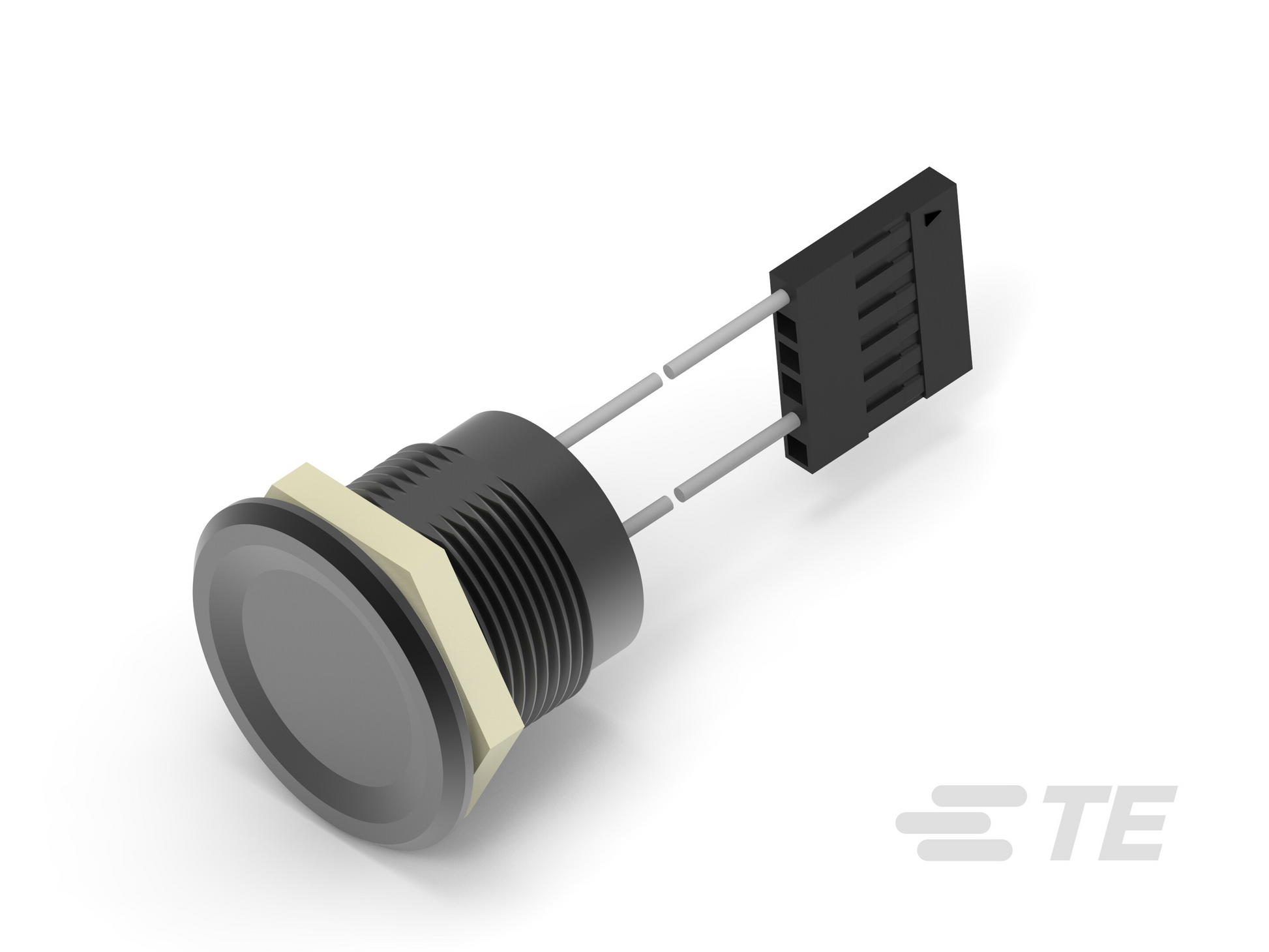 54345241