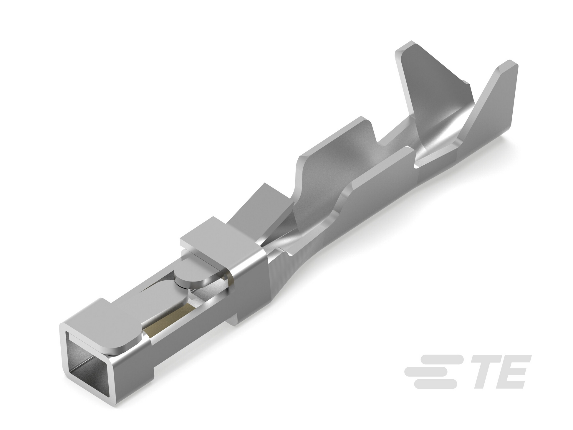 54462428